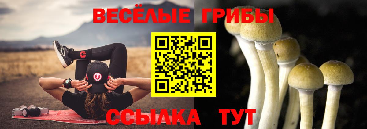 Чернушка  Псилоцибиновые грибы ЛСД  где найти   Вход с VPN 